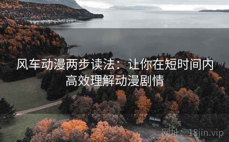 风车动漫两步读法：让你在短时间内高效理解动漫剧情