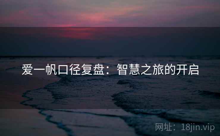 爱一帆口径复盘：智慧之旅的开启