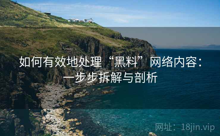 如何有效地处理“黑料”网络内容:一步步拆解与剖析 如何有效地处理“黑料”网络内容:一步步拆解与剖析