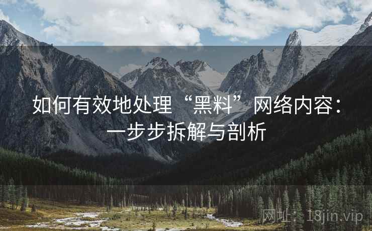 如何有效地处理“黑料”网络内容:一步步拆解与剖析 如何有效地处理“黑料”网络内容:一步步拆解与剖析